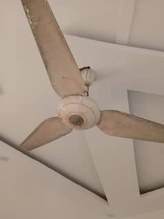 Millat Ceiling Fans for Sale! | 4200