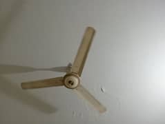 3 Fans available