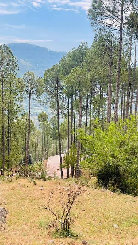 Residential plots in Murree near Mall Road 8