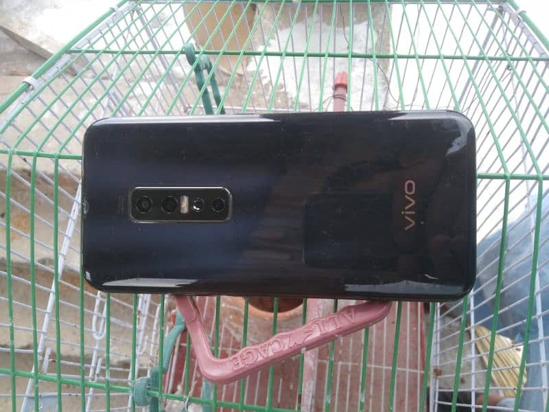 Vivo V17 pro only mobile without box and charger in Havelian 1