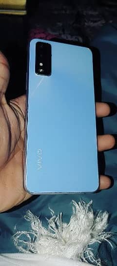 vivo