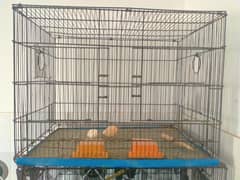 double portion breeding cages