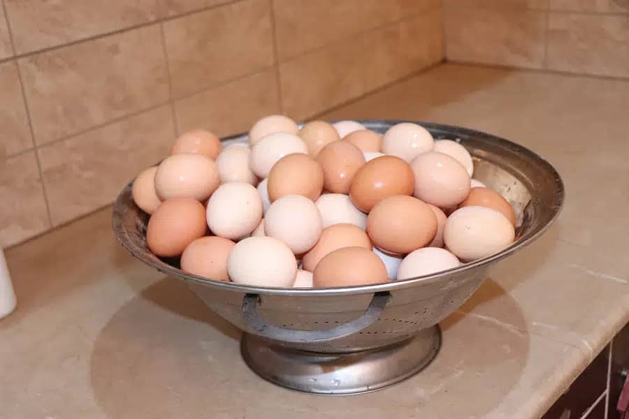 Desi Eggs 1