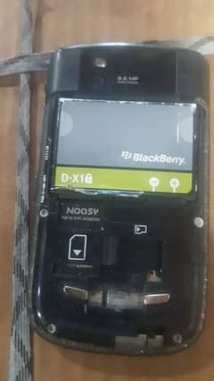 blackberry