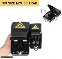 mouse trap 0