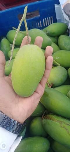 multani mango