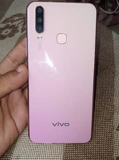 Vivo