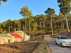 Hill top lodges Islamabad-Murree expressway.