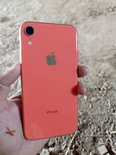 Iphone Xr waterpack 10by10 condition 03405512425