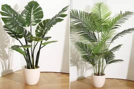 artificial imported plants