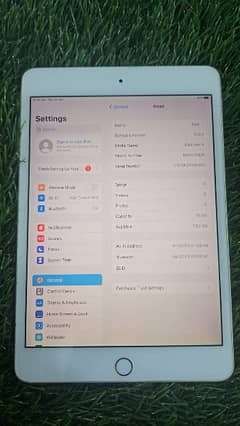 ipadmini 4