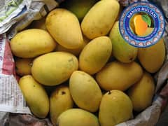 Multani Mango