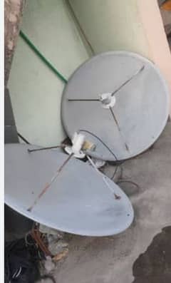 Dish Antenna