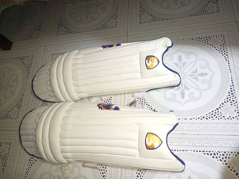 URGENT SALE HARD BALL CRICKET KIT 5