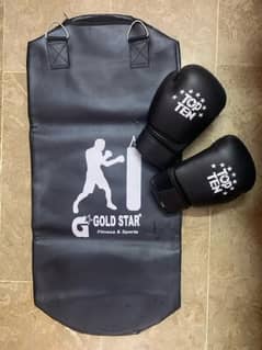 4ft punching bag with gloves and chain