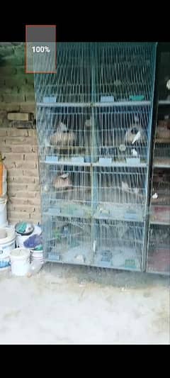 Java and cage forsell