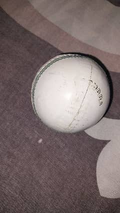 kookaburra original hard ball