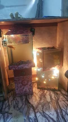 aquarium urgent sale 0