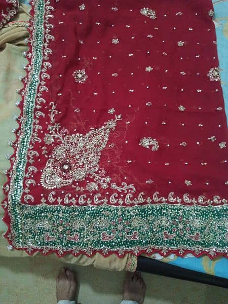 Bridal Sharara Maroon Fish tail (Medium Size,18 Chest) 6