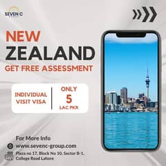 New Zealand visit Visa Individual and Family
