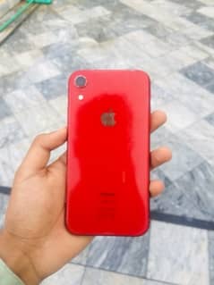 iPhone Xr 64Gb [ Read Add ]