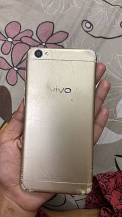 vivo