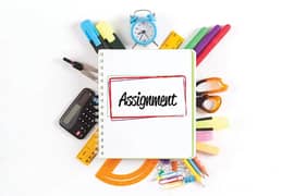 Professional Urdu English assignment work in low cost