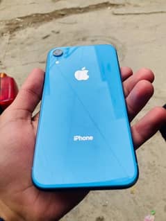 iphone xr blue colour