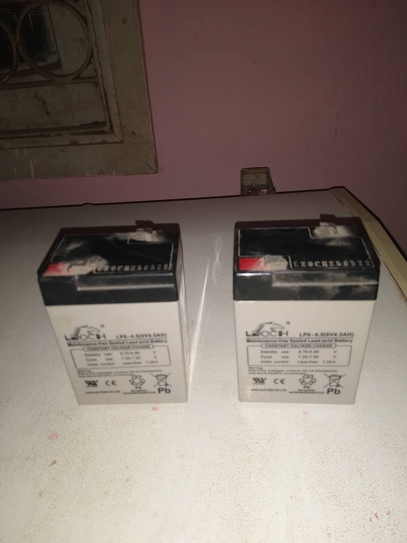 6volt batteries leoch 4