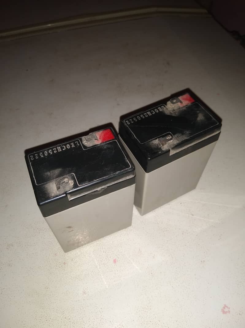 6volt batteries leoch 2