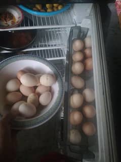 Desi Eggs for sale