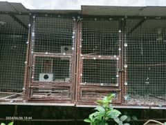 Birds & Hen Cage 0