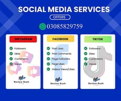 Social Media Boost Services