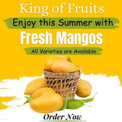 Special Fresh Mangoes