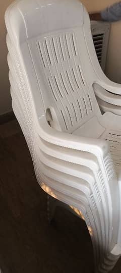 Boss plastic Chair