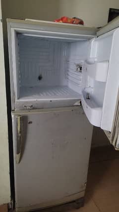 PEL  Refrigerator