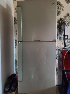 Pel Refrigerator(2 doors)