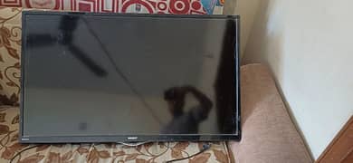 43 inch Orient LCD