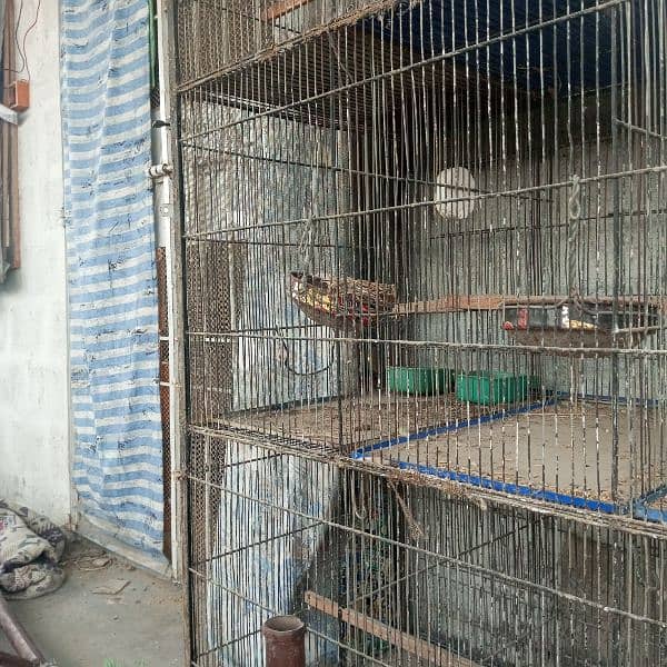 12 portion cage angel pe banahua he 03128845305 0