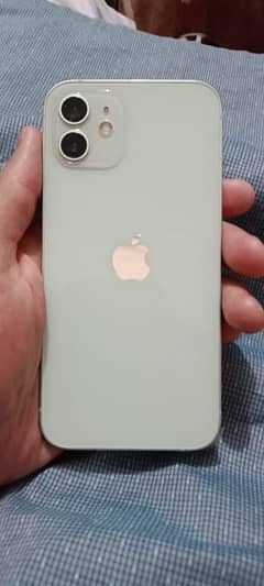 Iphone 12 128gb pta approved