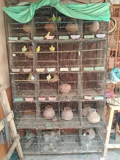 20 portion birds cage 0