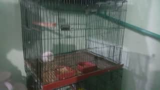 birds cage for sale fully recmonded for love birds and other