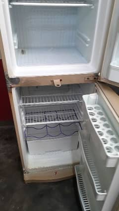 waves fridge