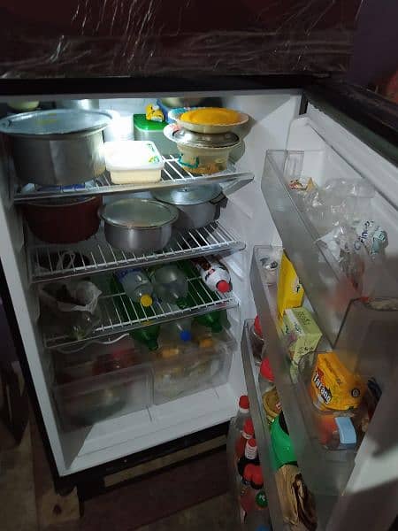 Pel Jumbo refrigerator Full Size Model num 22250 6