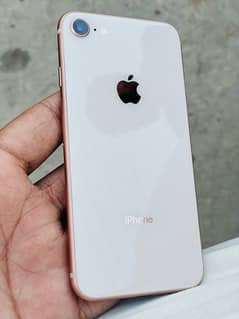 iphone 8 pta approved