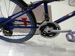 Mint Condition Blue Bi-Cycle
