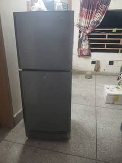 new fridge