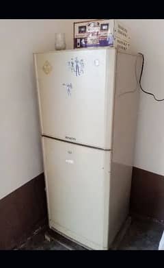 Fridge big size