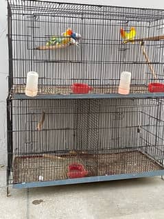 4 portions cage for sale in good condition 0