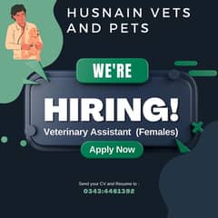 I’m hiring Veterinary Assistant